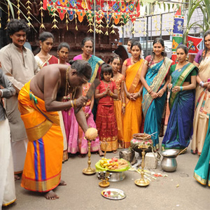 pongal